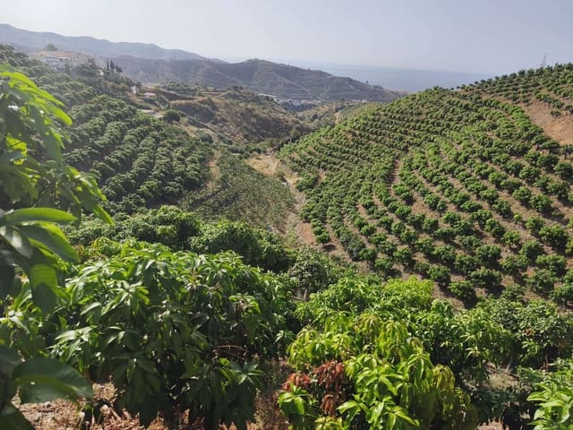 Finca/Landgut zu verkaufen in Rincón de la Victoria - 1.435.000 € (Ref: 9543012)