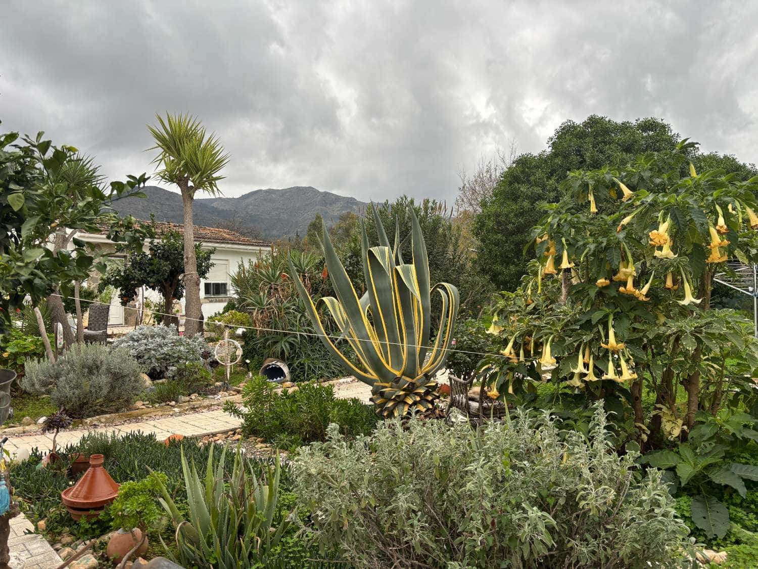 4 chambre Finca/Maison de Campagne à vendre à Alhaurin de la Torre avec piscine garage - 479 000 € (Ref: 9735143)