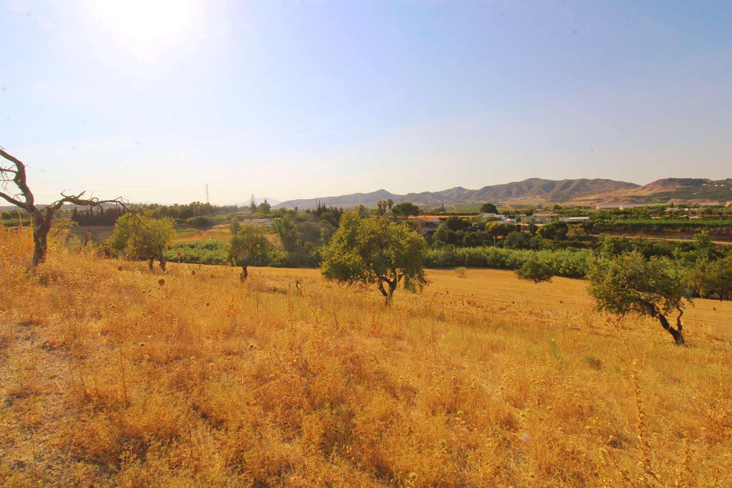 Solar/Parcela en Alhaurín de la Torre en venta - 360.000 € (Ref: 9941698)