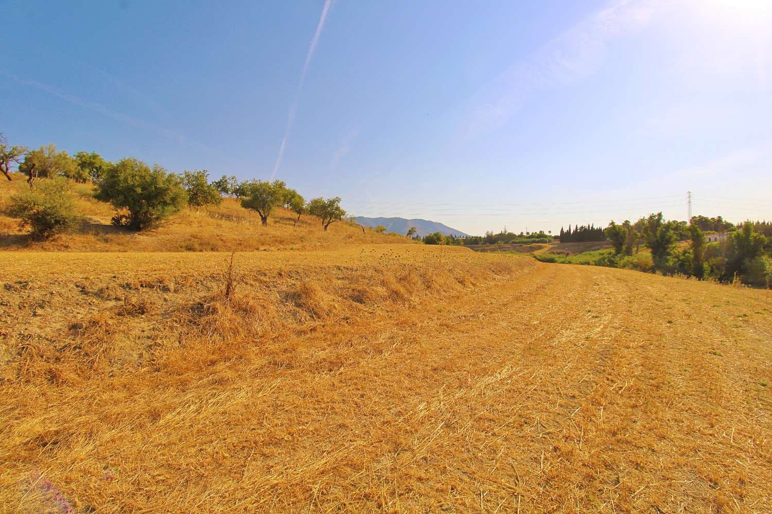 Solar/Parcela en Alhaurín de la Torre en venta - 360.000 € (Ref: 9941698)