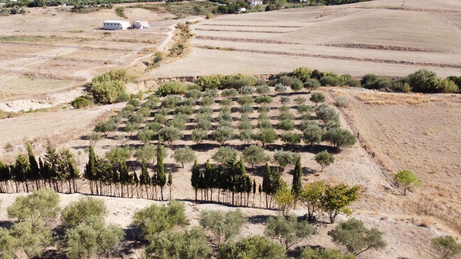 4 slaapkamer Finca/Landhuis te koop in Alhaurin de la Torre met zwembad - € 875.000 (Ref: 9946939)