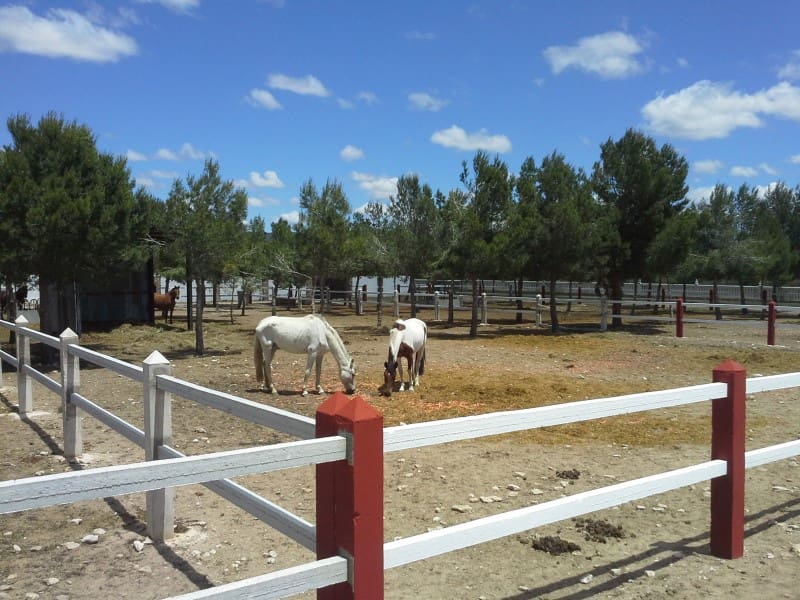 2 bedroom Finca/Country House for sale in Yecla - € 650,000 (Ref: 5788058)