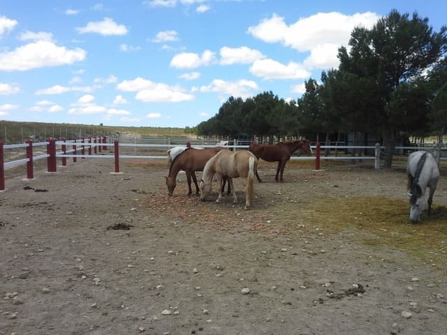 2 bedroom Finca/Country House for sale in Yecla - € 650,000 (Ref: 5788058)