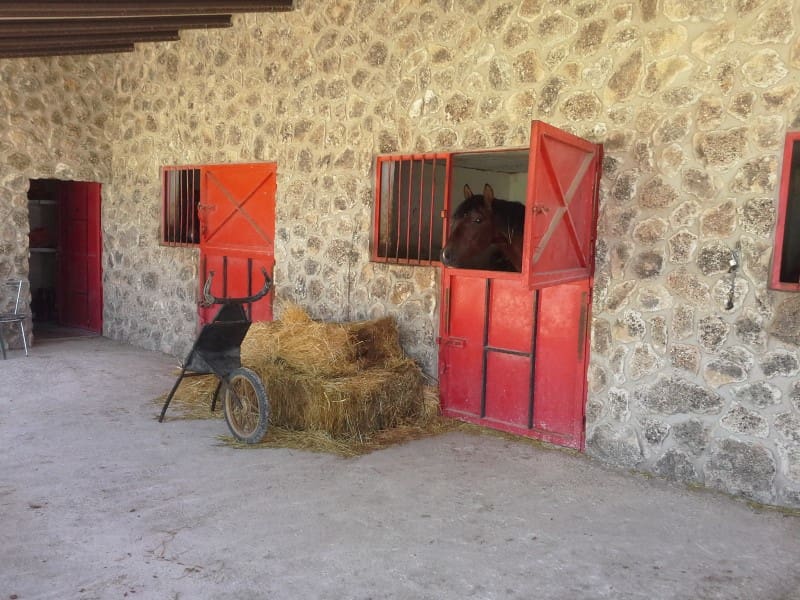 2 bedroom Finca/Country House for sale in Yecla - € 650,000 (Ref: 5788058)