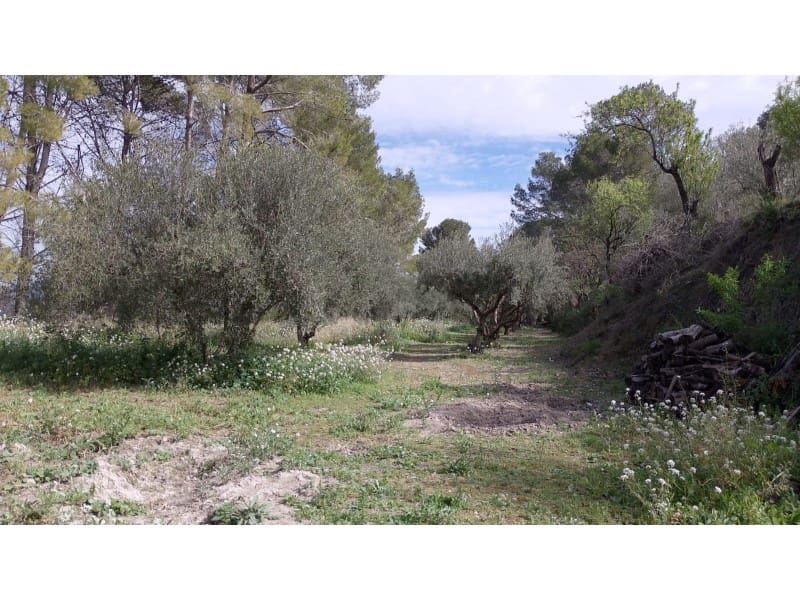 3 slaapkamer Villa te koop in Xativa met garage - € 250.000 (Ref: 8717225)