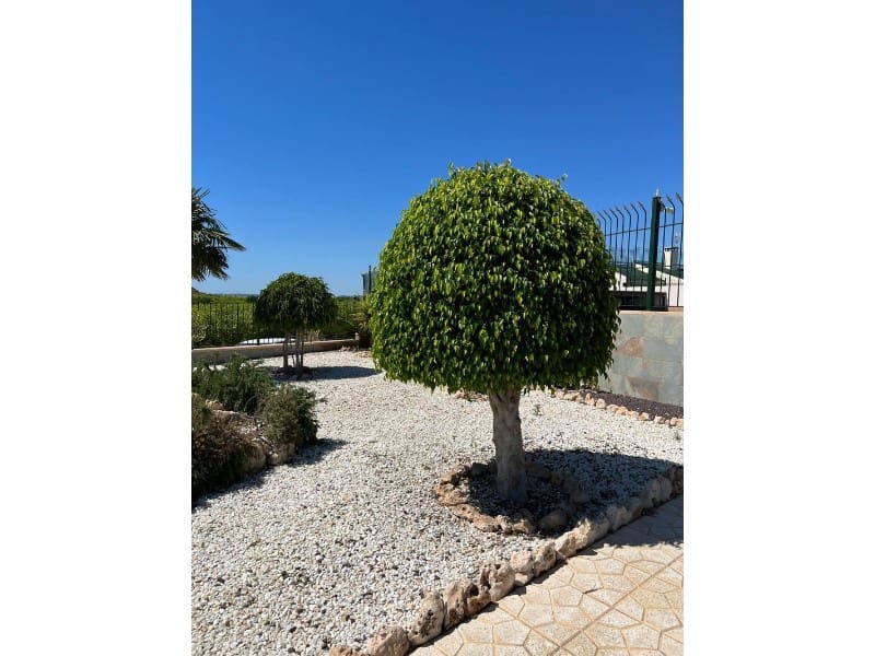 5 makuuhuone Maalaistalo myytävänä paikassa Los Montesinos - 3 700 000 € (Ref: 8717228)