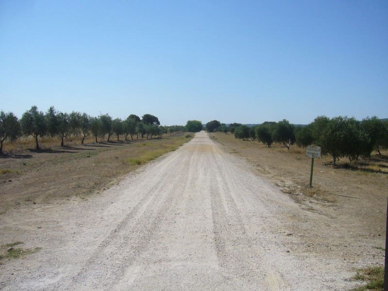 Finca/Landehus til salg i Castilblanco de los Arroyos - € 45.000.000 (Ref: 8728108)