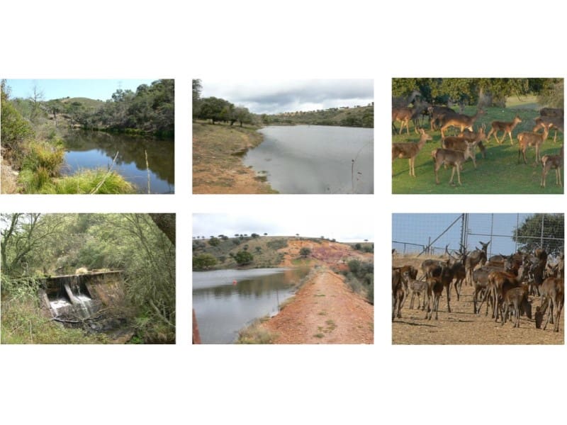 Finca/Landehus til salg i Castilblanco de los Arroyos - € 45.000.000 (Ref: 8728108)