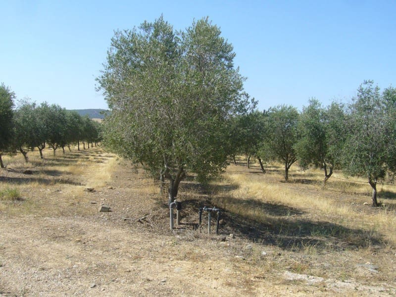 Finca/Landehus til salg i Castilblanco de los Arroyos - € 45.000.000 (Ref: 8728108)