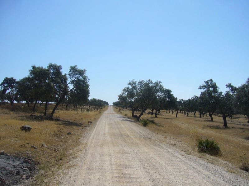 Finca/Landehus til salg i Castilblanco de los Arroyos - € 45.000.000 (Ref: 8728108)