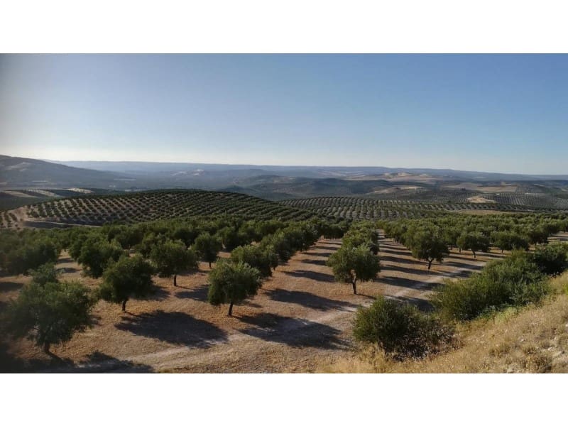 6 chambre Finca/Maison de Campagne à vendre à Peal de Becerro - 18 000 000 € (Ref: 8729898)