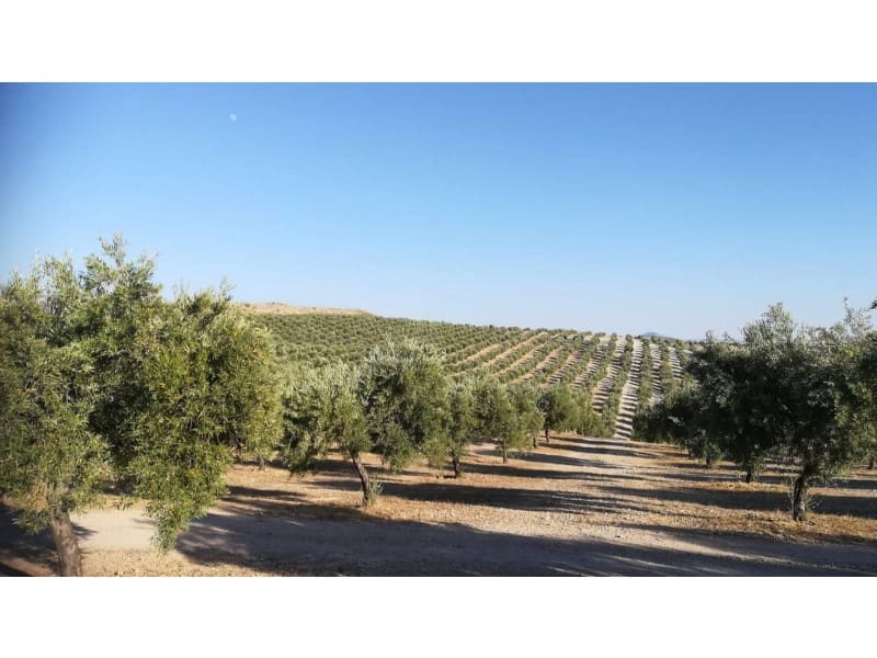 6 chambre Finca/Maison de Campagne à vendre à Peal de Becerro - 18 000 000 € (Ref: 8729898)