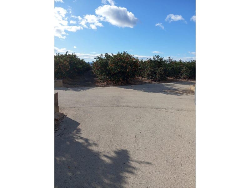 Finka/Dom wiejski na sprzedaż w Orihuela - 16 000 000 € (Ref: 8731992)