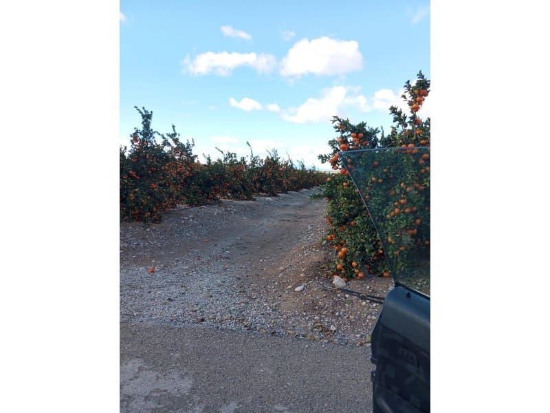 Finka/Dom wiejski na sprzedaż w Orihuela - 16 000 000 € (Ref: 8731992)