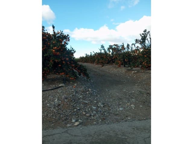 Finca/Casa di Campagna in vendita in Desamparados - Hurchillo - Torremendo, Orihuela - 16.000.000 € (Rif: 8731992)