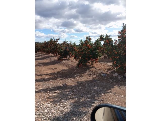 Finca/Casa di Campagna in vendita in Desamparados - Hurchillo - Torremendo, Orihuela - 16.000.000 € (Rif: 8731992)