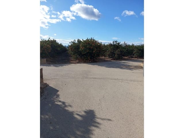 Finca/Casa di Campagna in vendita in Desamparados - Hurchillo - Torremendo, Orihuela - 16.000.000 € (Rif: 8731992)