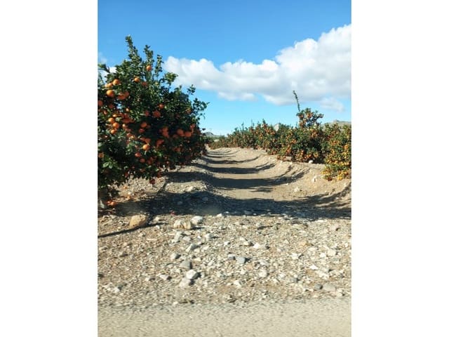 Finca/Casa di Campagna in vendita in Desamparados - Hurchillo - Torremendo, Orihuela - 16.000.000 € (Rif: 8731992)