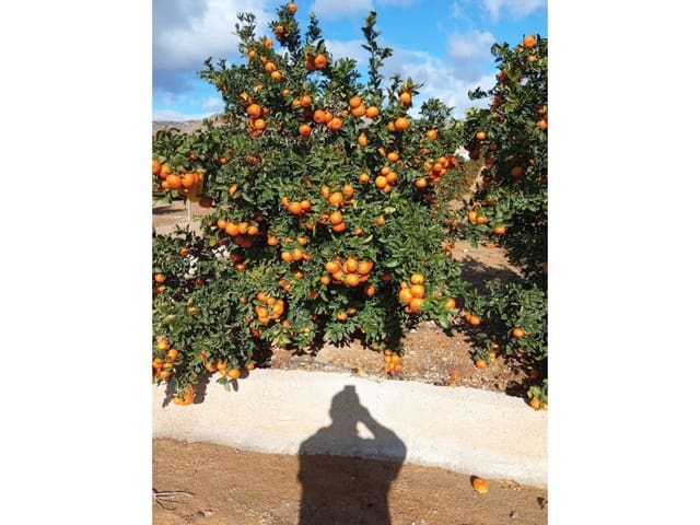 Finca/Casa di Campagna in vendita in Desamparados - Hurchillo - Torremendo, Orihuela - 16.000.000 € (Rif: 8731992)