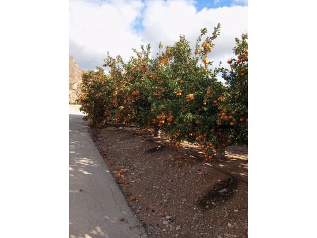 Finca/Casa di Campagna in vendita in Desamparados - Hurchillo - Torremendo, Orihuela - 16.000.000 € (Rif: 8731992)