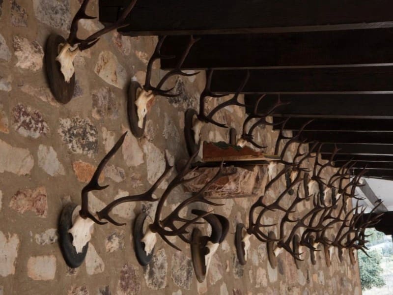 Finca/Country House for sale in Puertollano - € 3,500,000 (Ref: 8731995)