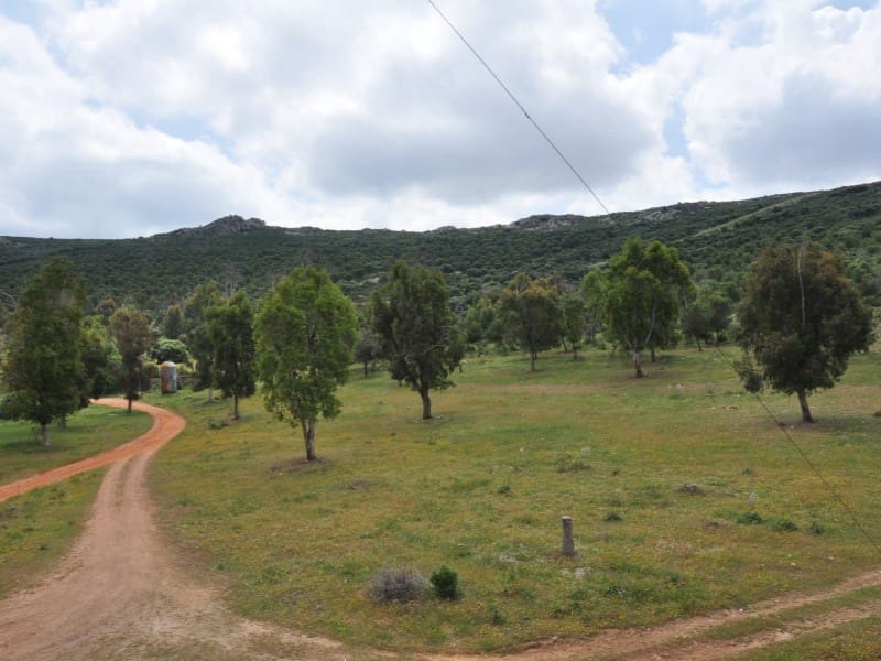 Finca/Country House for sale in Puertollano - € 3,500,000 (Ref: 8731995)