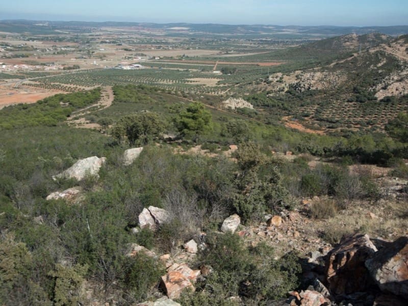 Finca/Country House for sale in Puertollano - € 3,500,000 (Ref: 8731995)