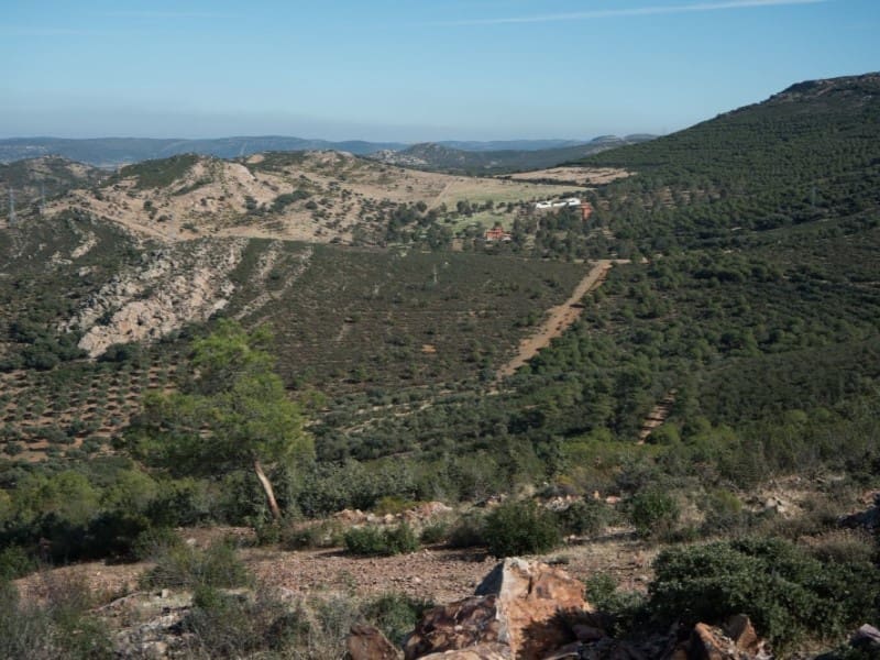 Finca/Country House for sale in Puertollano - € 3,500,000 (Ref: 8731995)