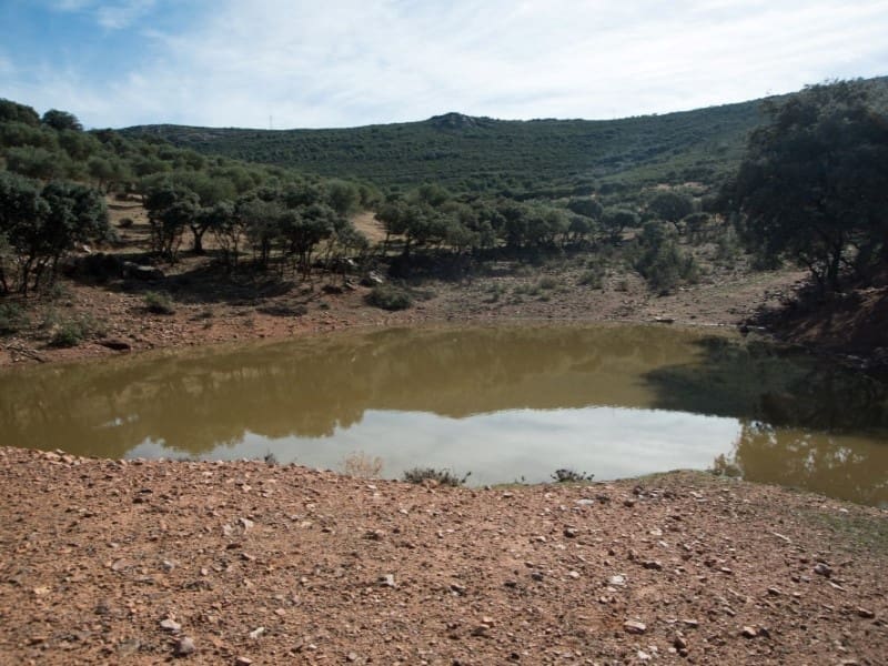 Finca/Country House for sale in Puertollano - € 3,500,000 (Ref: 8731995)