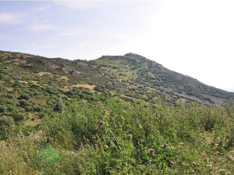 Finca/Country House for sale in Puertollano - € 3,500,000 (Ref: 8731995)