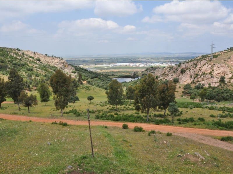 Finca/Country House for sale in Puertollano - € 3,500,000 (Ref: 8731995)