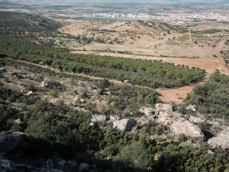 Finca/Country House for sale in Puertollano - € 3,500,000 (Ref: 8731995)