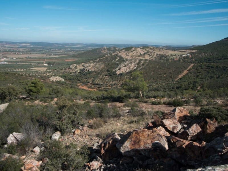 Finca/Country House for sale in Puertollano - € 3,500,000 (Ref: 8731995)