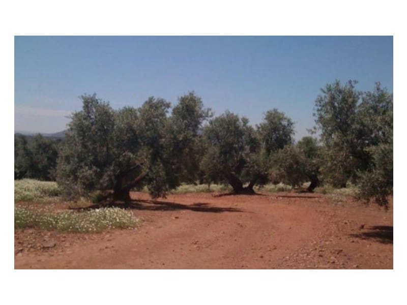 Finca/Casa di Campagna in vendita in Hinojares - 35.000.000 € (Rif: 8734251)