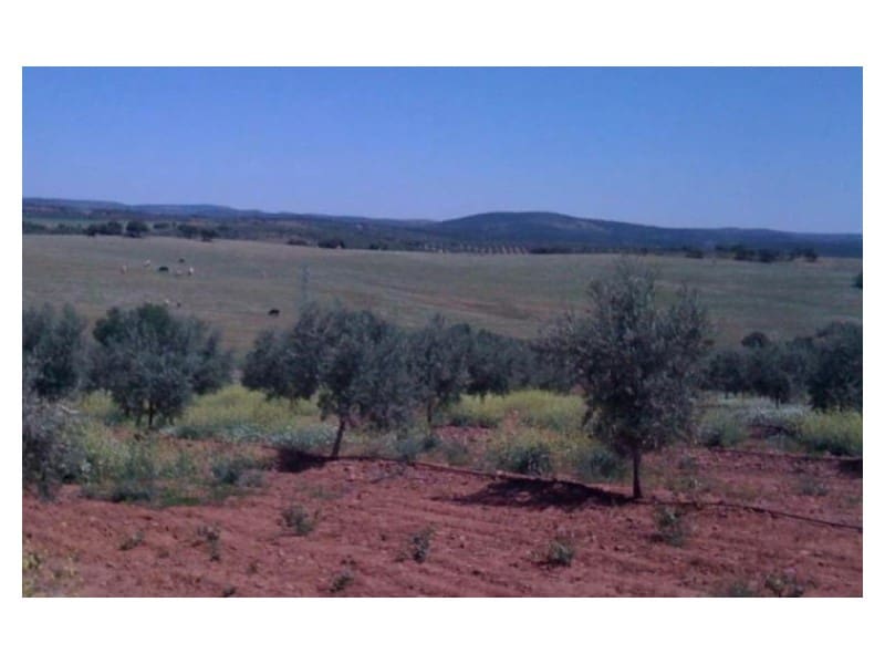 Finca/Casa di Campagna in vendita in Hinojares - 35.000.000 € (Rif: 8734251)