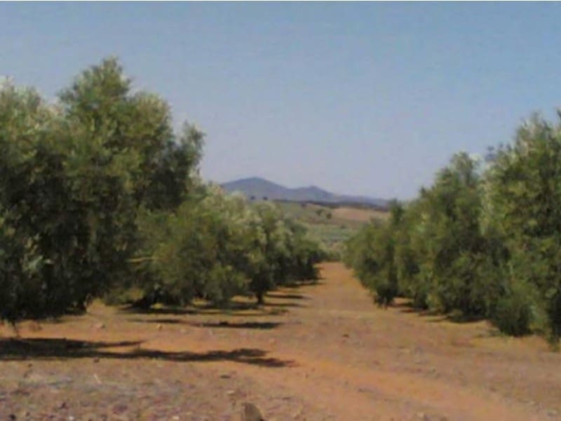 Finca/Casa di Campagna in vendita in Hinojares - 35.000.000 € (Rif: 8734251)