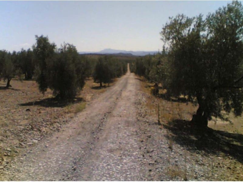 Finca/Casa di Campagna in vendita in Hinojares - 35.000.000 € (Rif: 8734251)