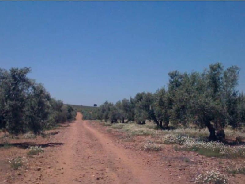 Finca/Casa di Campagna in vendita in Hinojares - 35.000.000 € (Rif: 8734251)