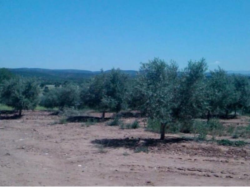 Finca/Casa di Campagna in vendita in Hinojares - 35.000.000 € (Rif: 8734251)