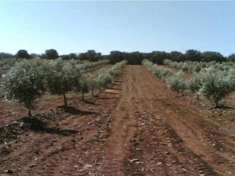 Finca/Casa di Campagna in vendita in Hinojares - 35.000.000 € (Rif: 8734251)