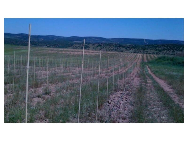 Finca/Casa di Campagna in vendita in Hinojares - 35.000.000 € (Rif: 8734251)