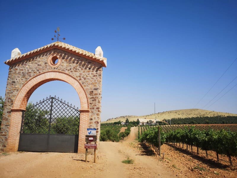 Finca/Country House for sale in Ciudad Real city - € 7,000,000 (Ref: 8734253)