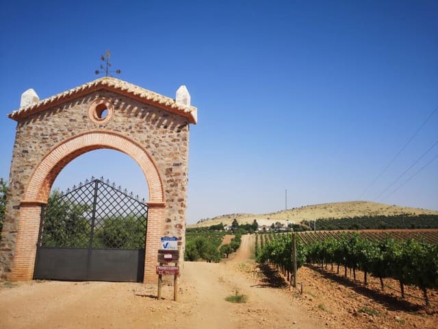 Finca/Country House for sale in Ciudad Real city - € 7,000,000 (Ref: 8734253)