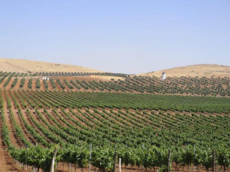 Finca/Country House for sale in Ciudad Real city - € 7,000,000 (Ref: 8734253)