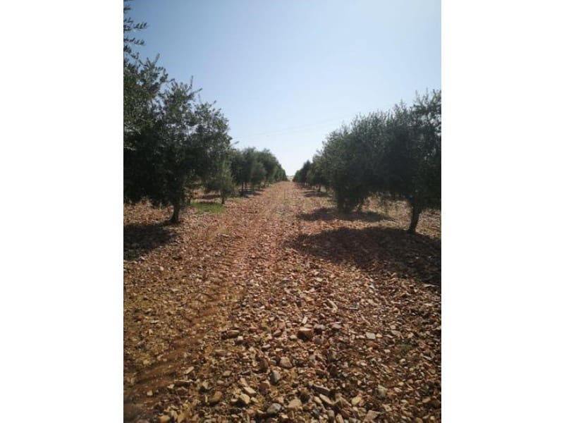 Finca/Country House for sale in Ciudad Real city - € 7,000,000 (Ref: 8734253)