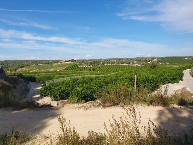 Finca/Landehus til salg i Pilar de la Horadada ciudad, Pilar de la Horadada - € 20.000.000 (Ref: 8748328)