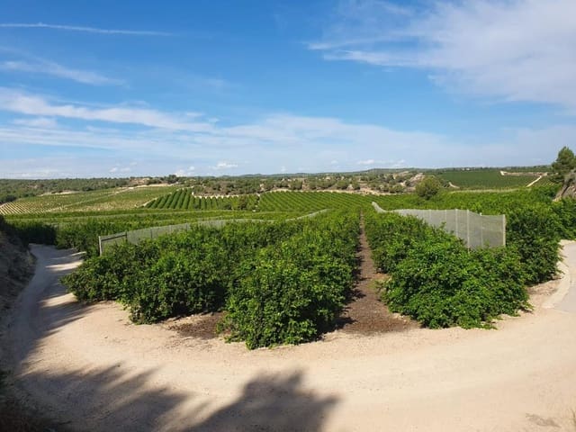 Finca/Landehus til salg i Pilar de la Horadada ciudad, Pilar de la Horadada - € 20.000.000 (Ref: 8748328)