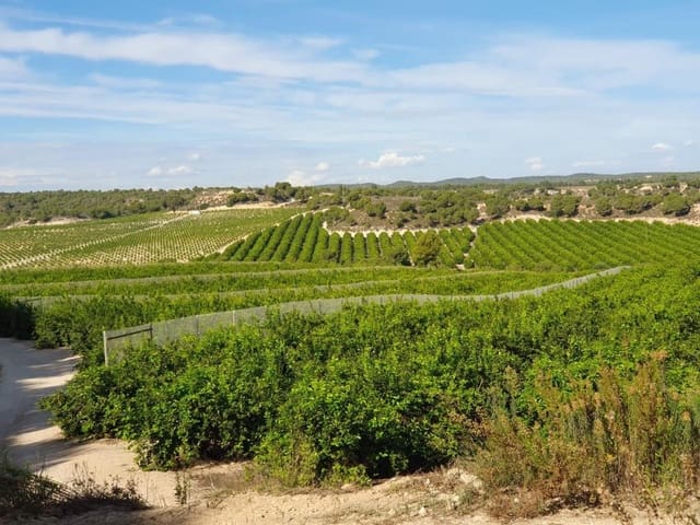 Finca/Landehus til salg i Pilar de la Horadada ciudad, Pilar de la Horadada - € 20.000.000 (Ref: 8748328)