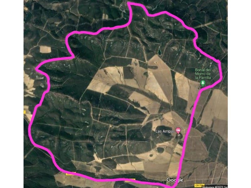 Finca/Landehus til salg i Piedrabuena - € 45.000.000 (Ref: 8757870)