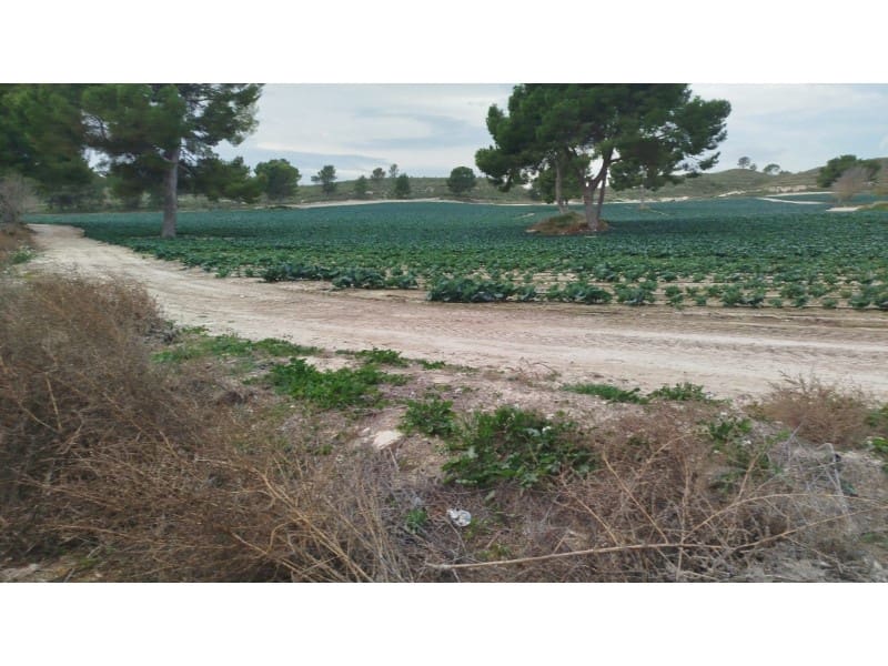 Finca/Landhuis te koop in Albacete stad - € 8.500.000 (Ref: 8757871)